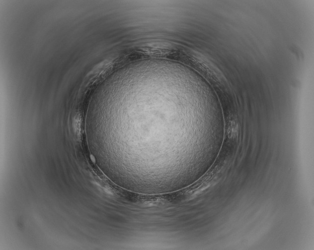 X0000111001108200906261453