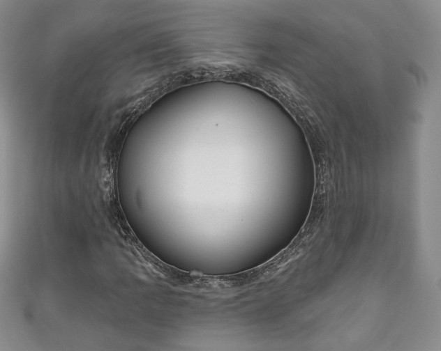 X0000111001109200906261453