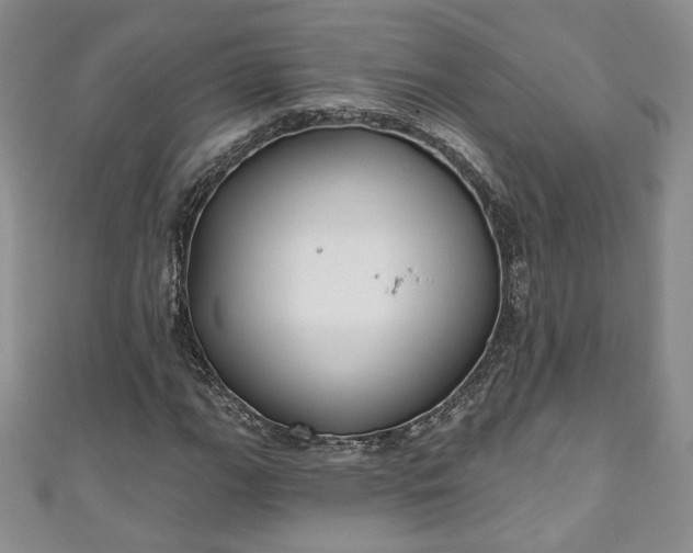 X0000111001111200906261453