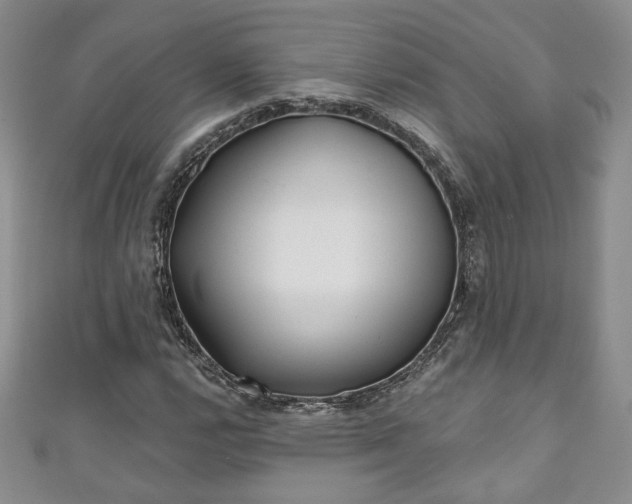 X0000111001112200906261453