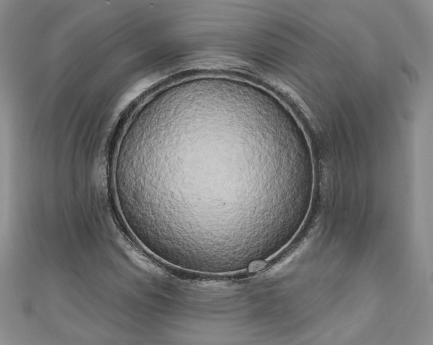 X0000111001114200906261453