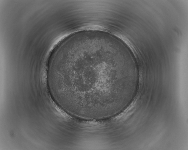 X0000111001115200906261453