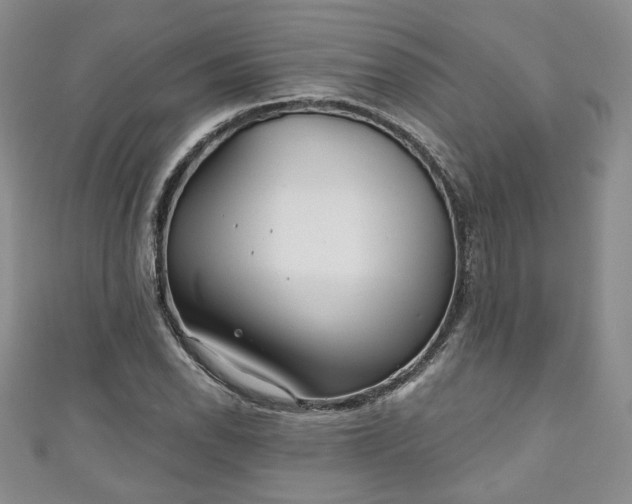 X0000111001118200906261453