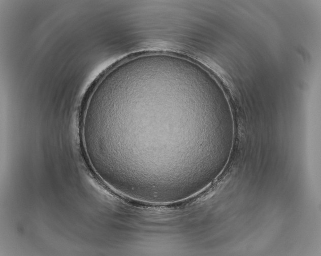 X0000111001120200906261453