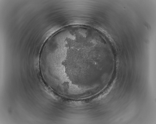 X0000111001121200906261453