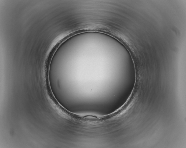 X0000111001122200906261453