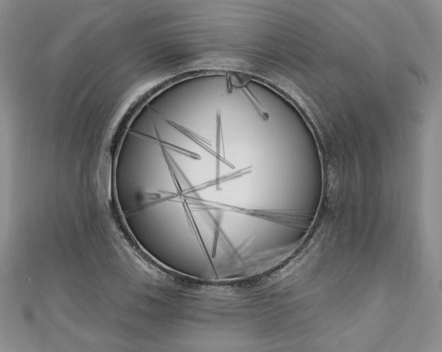 X0000111001123200906261453
