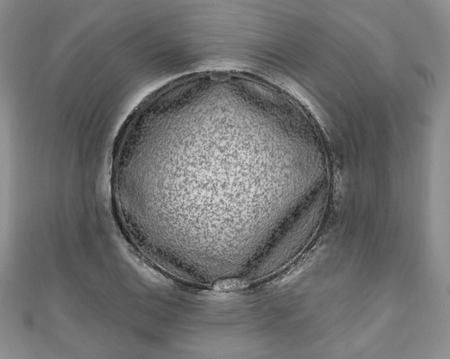 X0000111001124200906261453