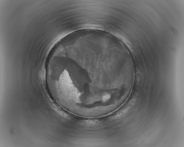 X0000111001125200906261453