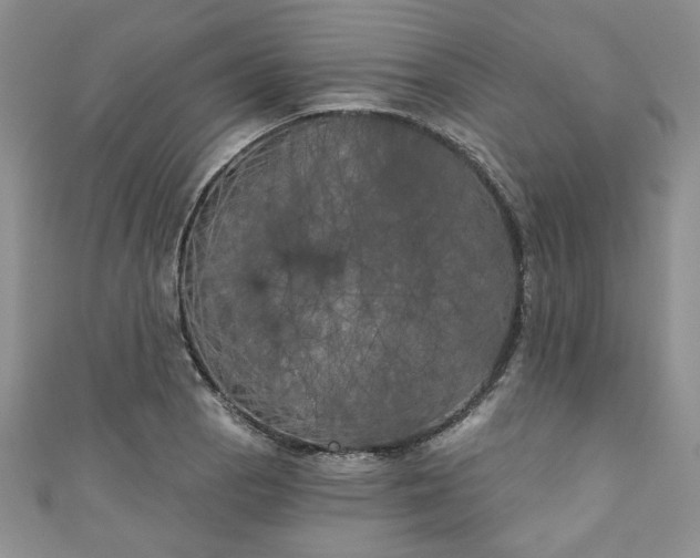 X0000111001129200906261453
