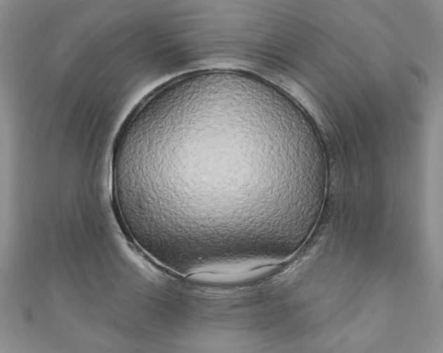 X0000111001132200906261453