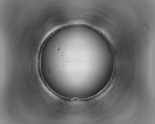 X0000111001134200906261453