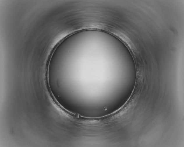 X0000111001135200906261453