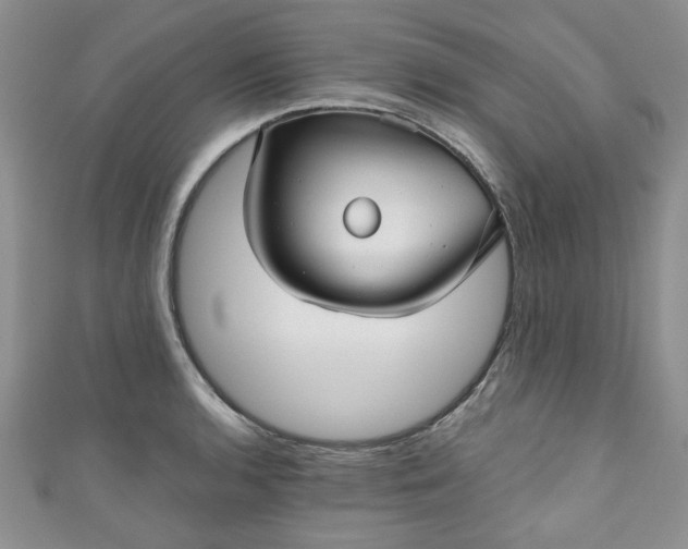 X0000111001136200906261453