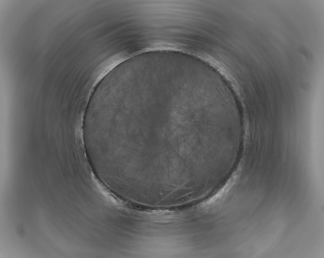 X0000111001137200906261453