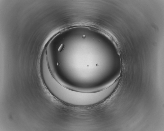 X0000111001138200906261453