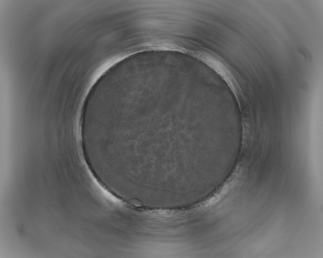 X0000111001141200906261453