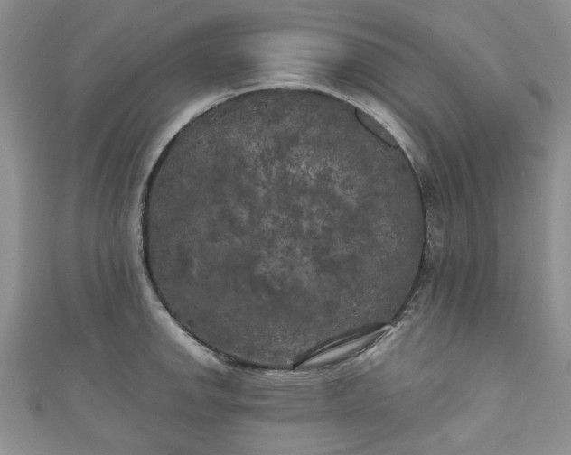 X0000111001142200906261453