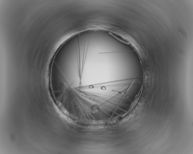 X0000111001143200906261453