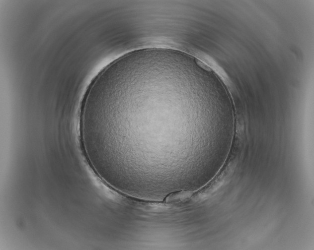 X0000111001144200906261453