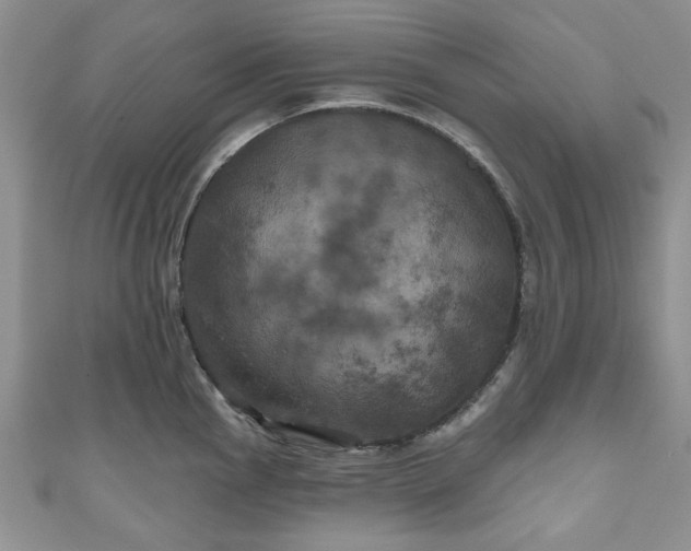 X0000111001145200906261453