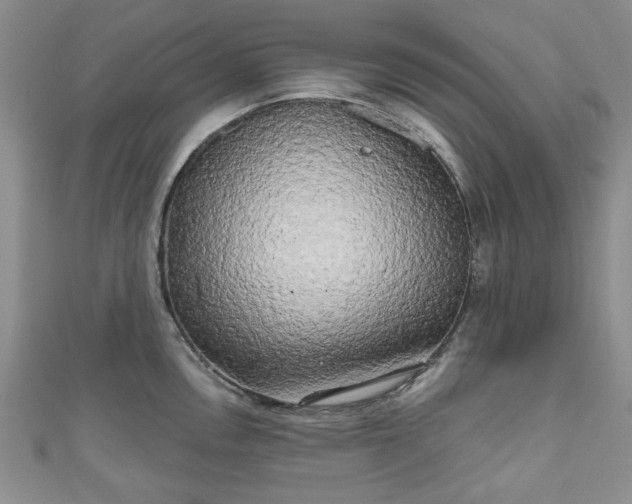 X0000111001146200906261453