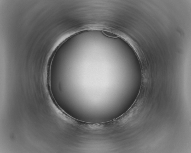 X0000111001147200906261453