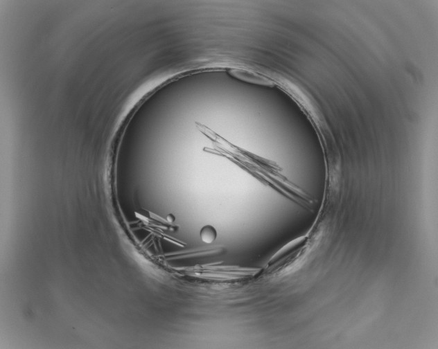 X0000111001149200906261453