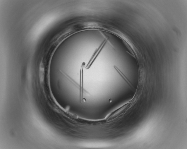X0000111001151200906261453