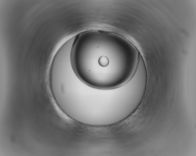 X0000111001152200906261453