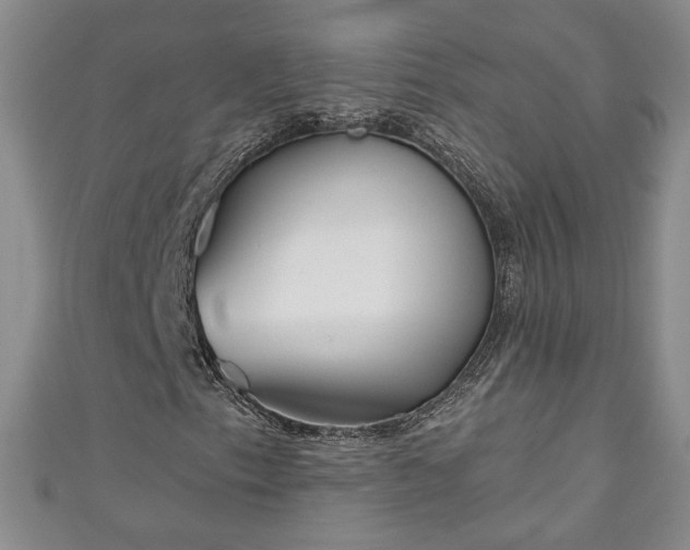 X0000111001153200906261453