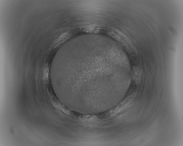 X0000111001154200906261453