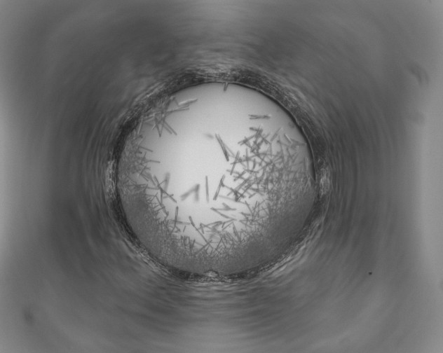 X0000111001156200906261453
