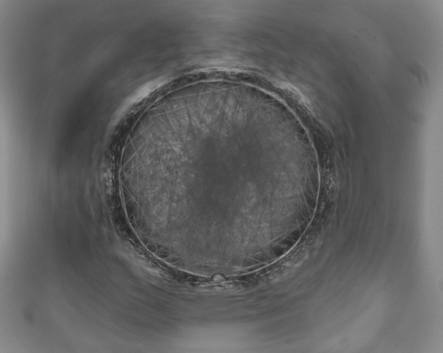 X0000111001159200906261453