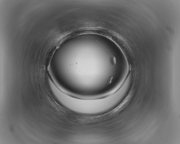 X0000111001161200906261453