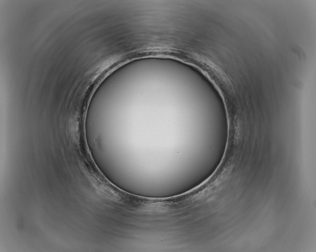 X0000111001162200906261453