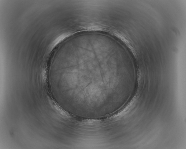 X0000111001163200906261453