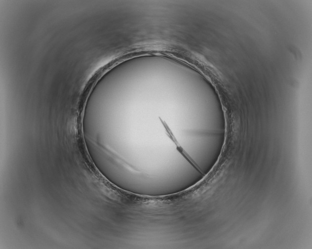 X0000111001166200906261453