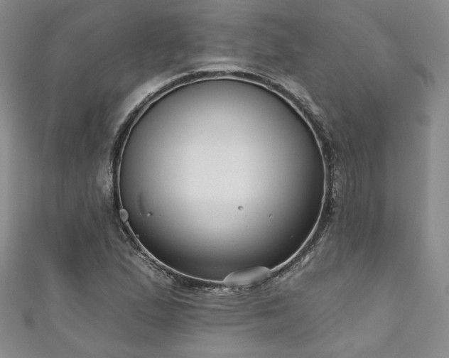 X0000111001167200906261453