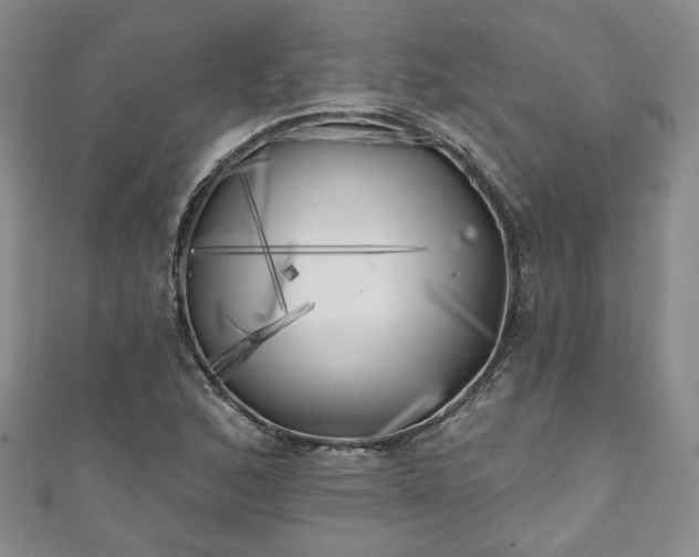 X0000111001168200906261453