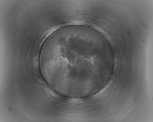 X0000111001170200906261453