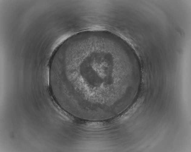 X0000111001171200906261453