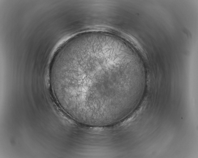 X0000111001172200906261452