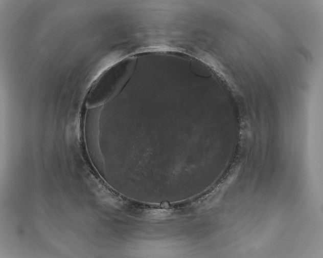 X0000111001173200906261452