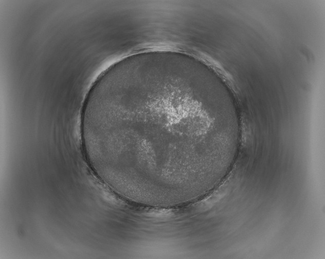 X0000111001174200906261452