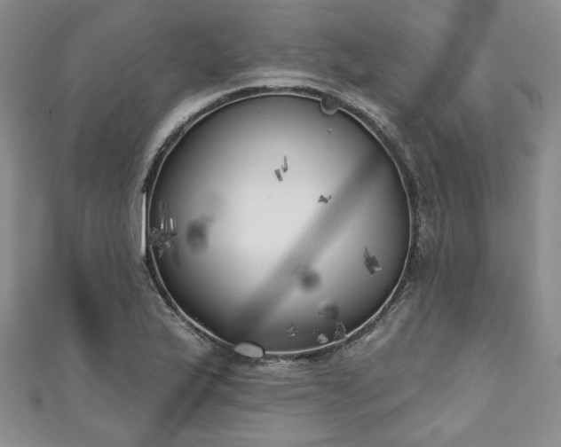 X0000111001175200906261452