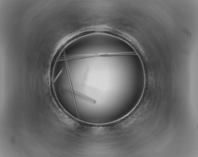 X0000111001176200906261452