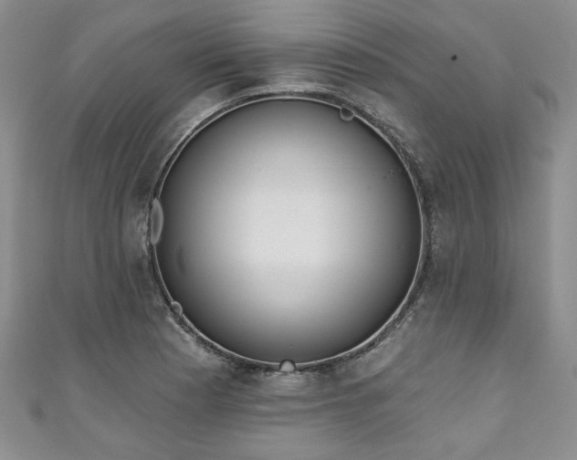 X0000111001177200906261452