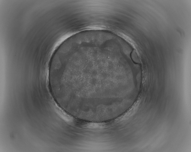 X0000111001179200906261452