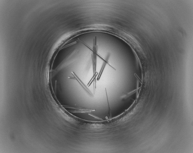 X0000111001180200906261452